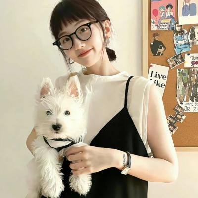 小岛奇谭